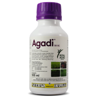 AGADI 50 SC